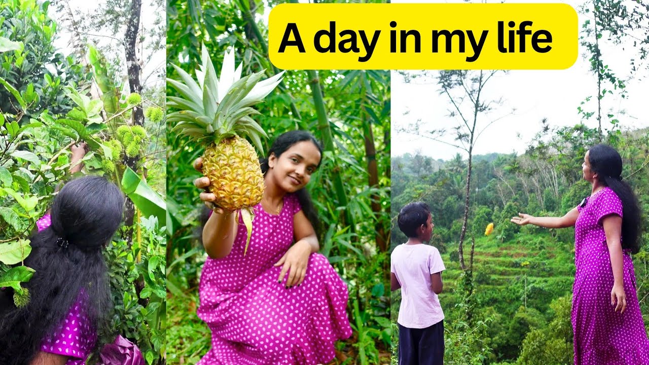 A day in my life❤Pineapple Pachadi❤AjiTalks home🏠 daily vlog