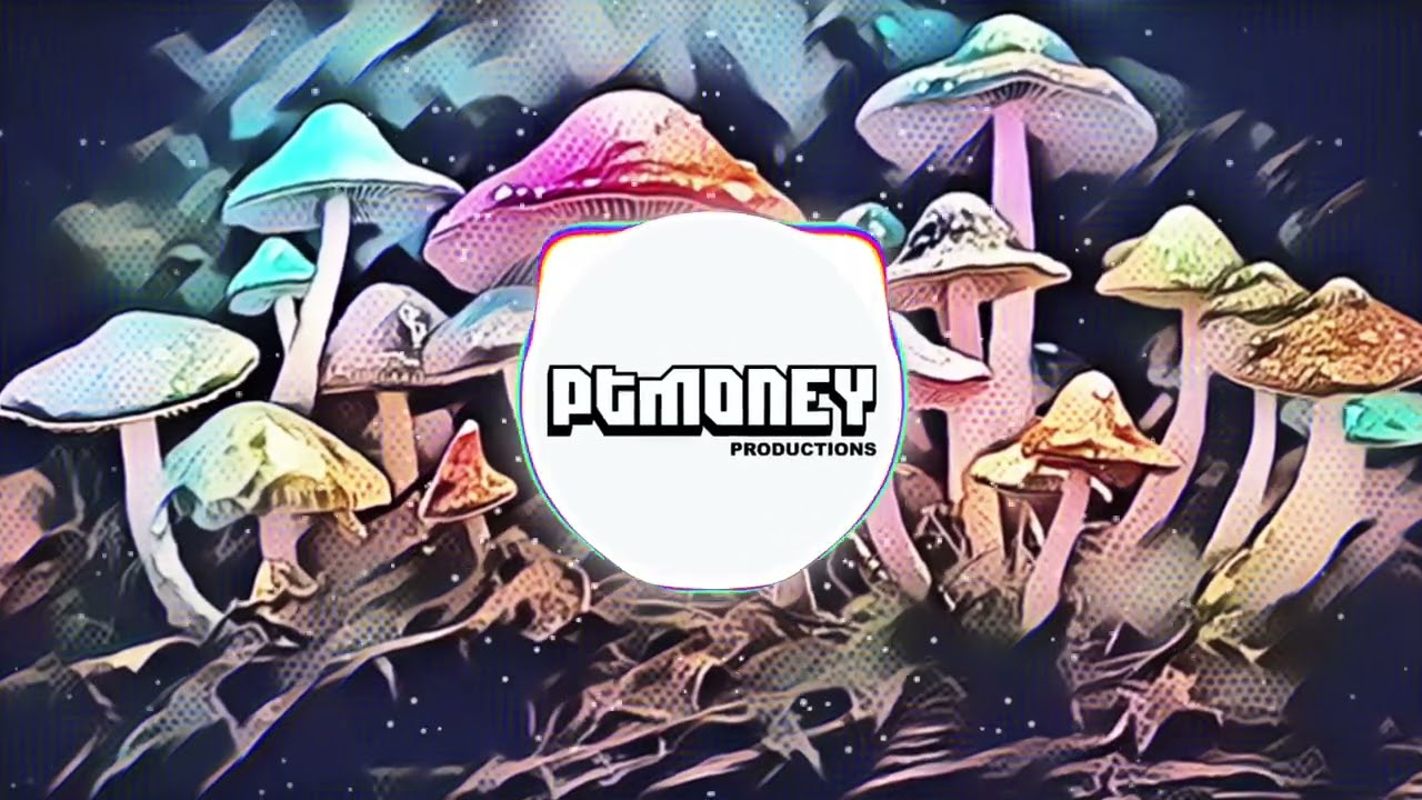 Mellow Mushrooms 🍄 111BPM Deep House Beat #housemusiclovers