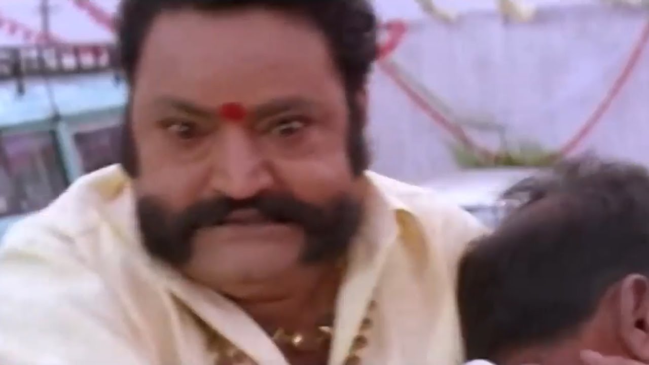 Seethaiah ఎవరి మాట వినడు అంటూ దుమ్మురేపిన హరికృష్ణ || Telugu Movie Best Action Scenes