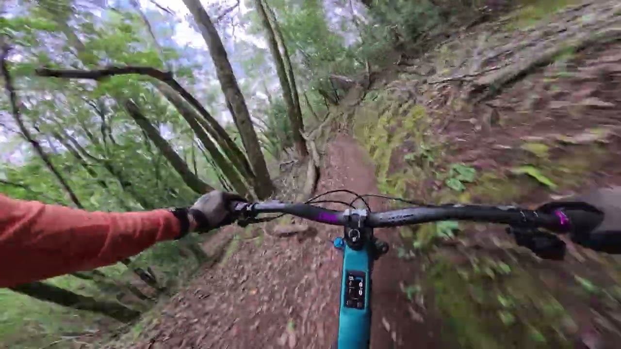 Caballo Rojo 🐴 | Marin MTB