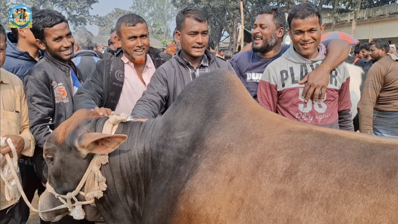@মঙ্গলবার ২০ জানু
