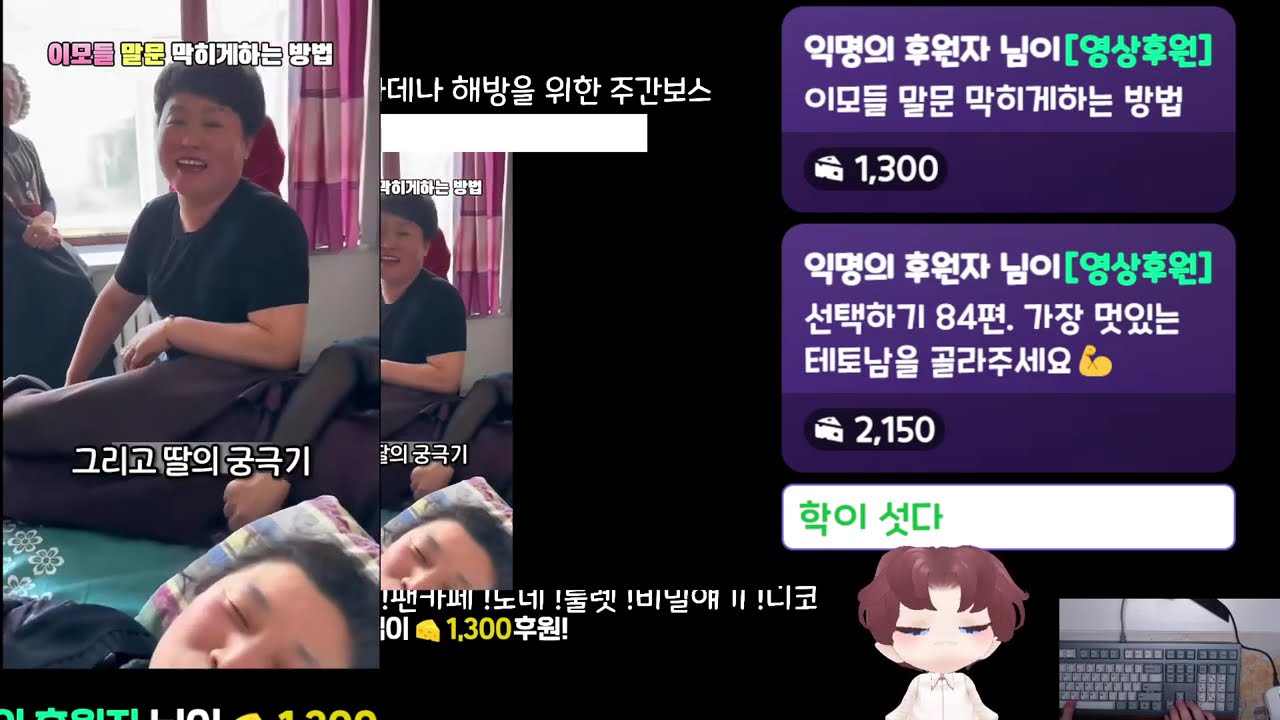 하며후기 렌탈여친!, 카데나 스펙업 2026-02-22 #나초다시보기 #다초 #풀영상