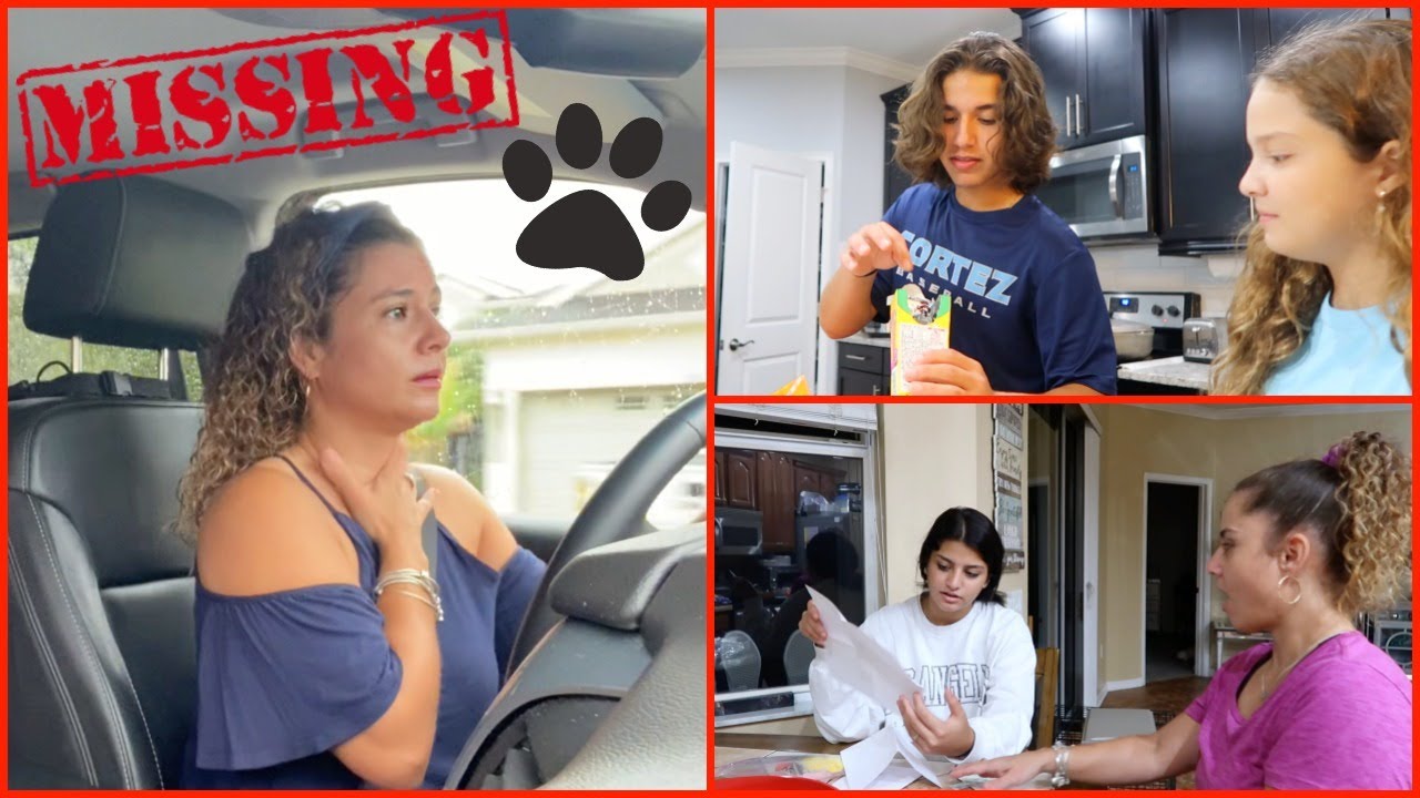 We lost Our Dog Kooper (He Ran Away )VLOGZ