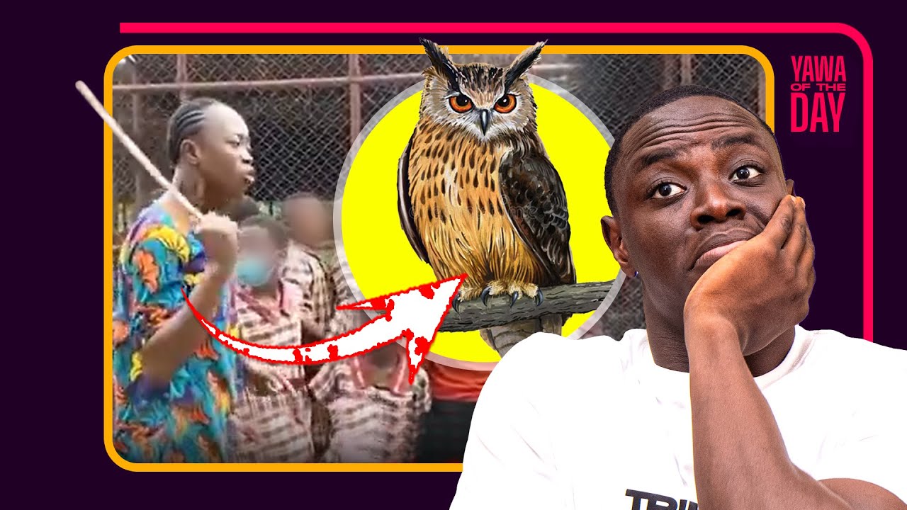 If You See An Owl, This Is What You Should Know!