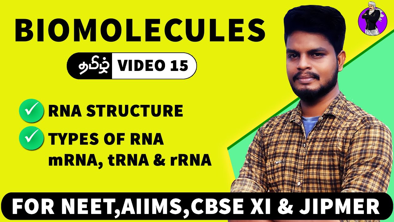 mRNA, tRNA & rRNA in Tamil | Biomolecules in Tamil (15)