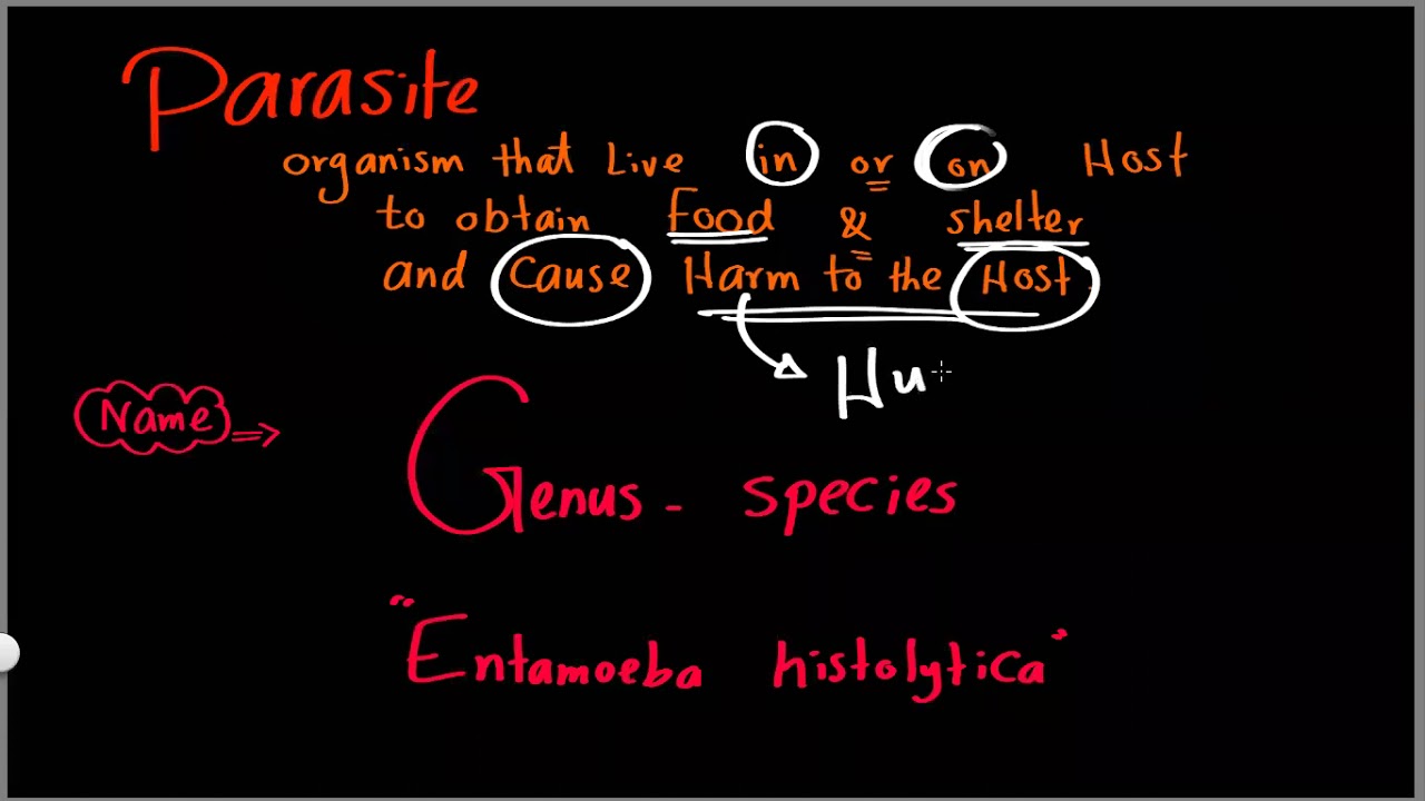 Parasitology 01 introduction »DrMoaz