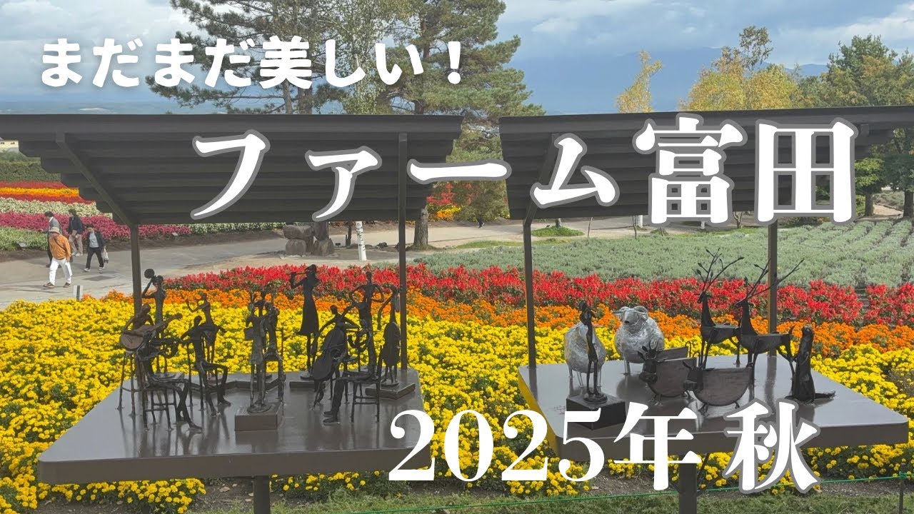 【北海道富良野】まだまだ美しい『ファーム富田』2025年秋
