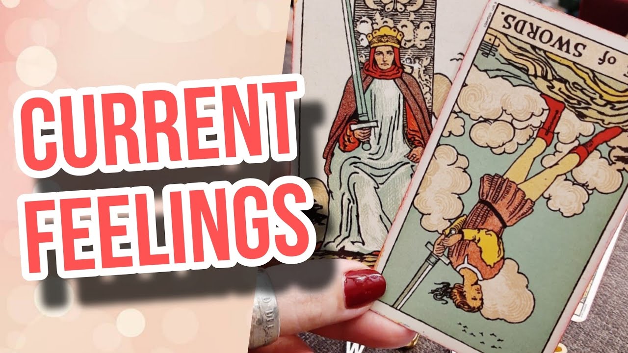 Current Feelings of the person on your mind? | Timeless Tarot Card Reading