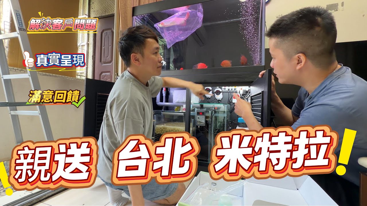 感謝台北周先生信任! 過程中是愉快的 !盡我所能幫忙處理,自願主動協助客人解決問題! #精品米特拉 #龍魚 #親送 #服務 #解決問題 #水質調整 #硝化菌 #水質改善 #豪進水族複合式硝化菌