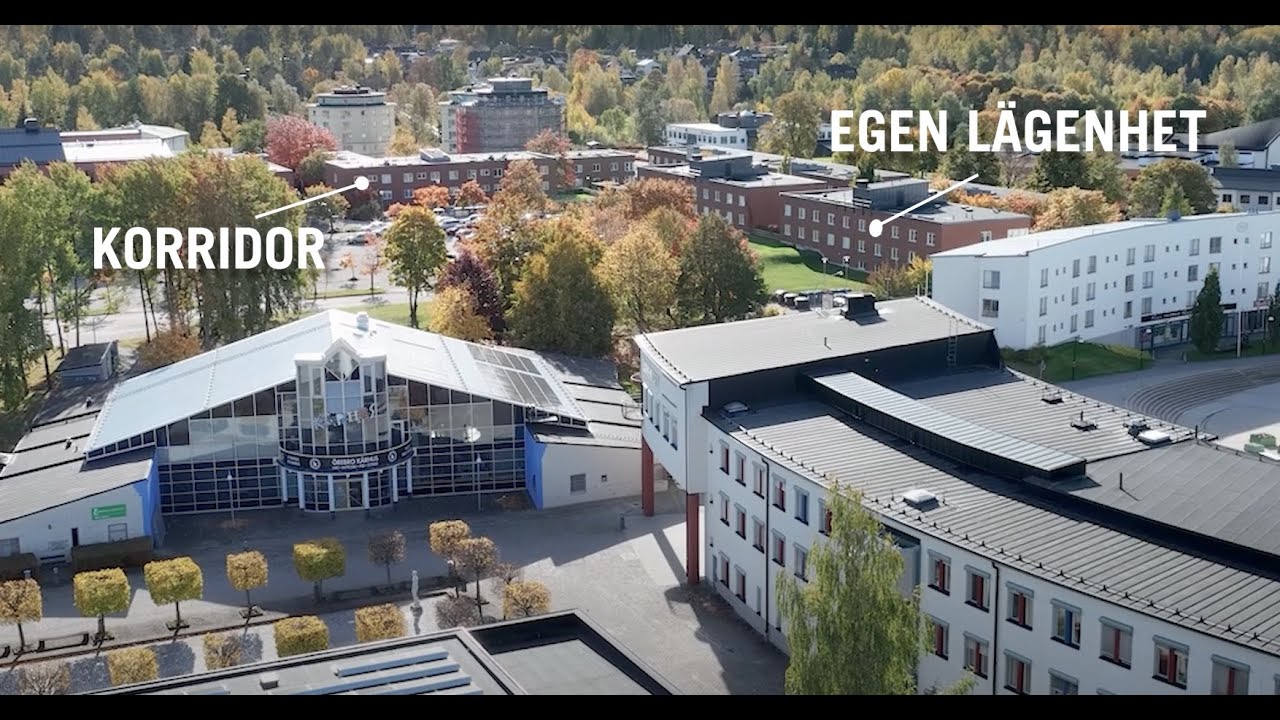 Boende i Örebro – så hittar du studentlägenhet