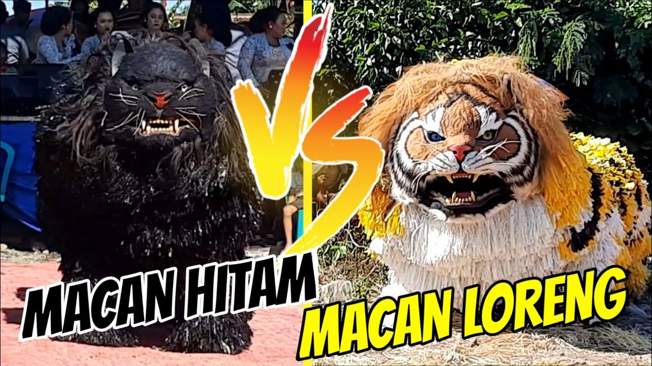 MACAN HITAM & MACAN LORENG - Jaranan Singo Barong Purwoharjo