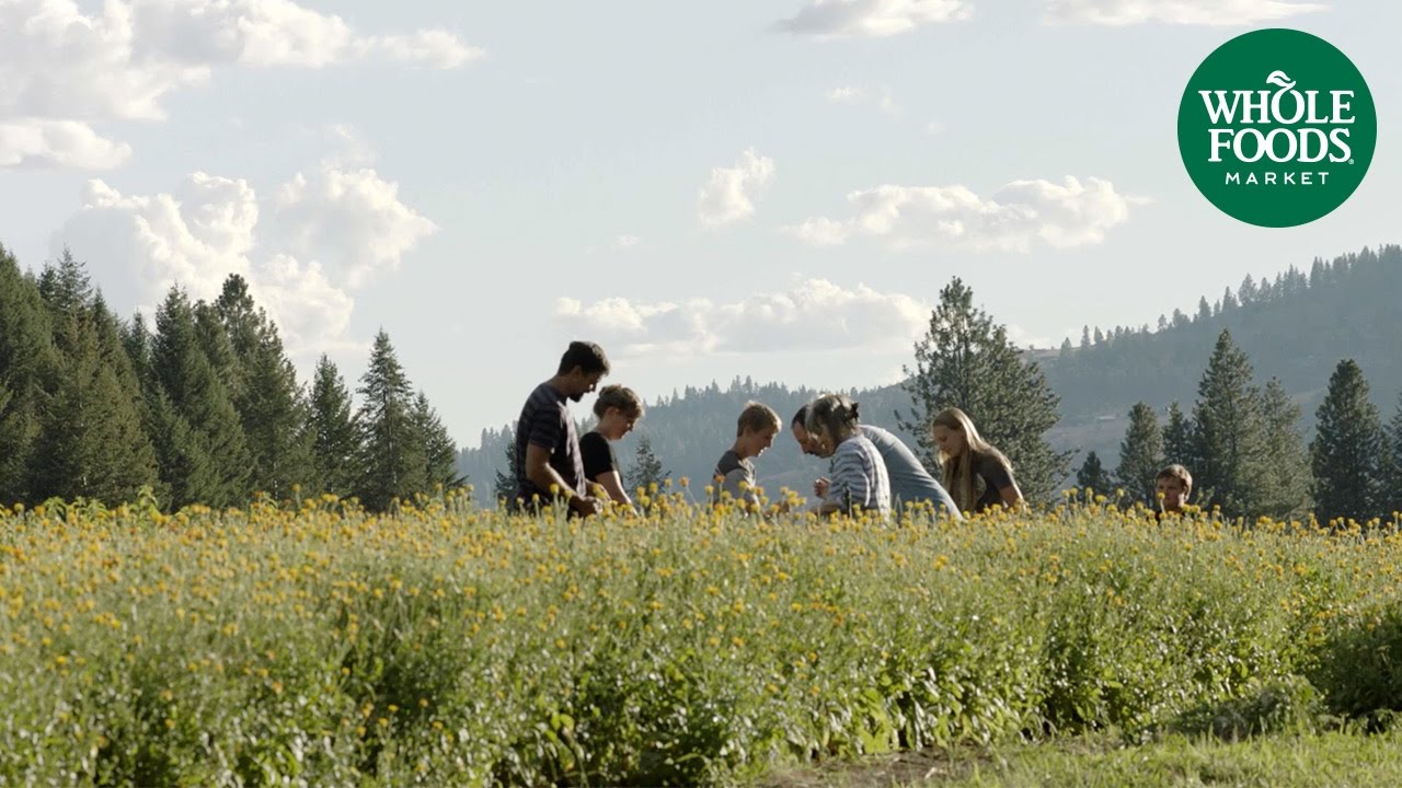 evanhealy | Stories from the Field | Whole Foods Market
