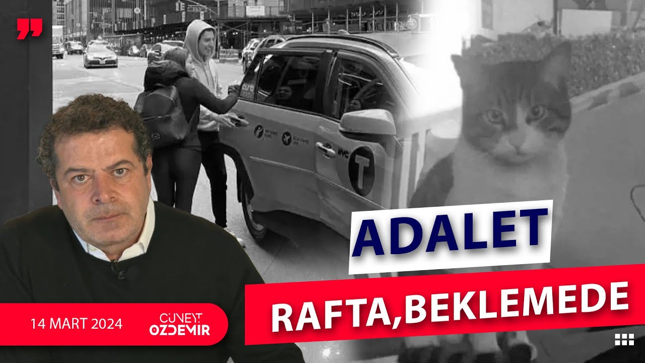EYLEM TOK NEWYORK'TA, KEDİ KATİLİ SERBEST! ADALET RAFTA BEKLEMEDE...