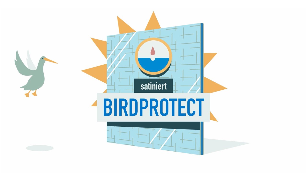 Erklärvideo Vogelschutzglas BIRDPROTECT | Glas Trösch