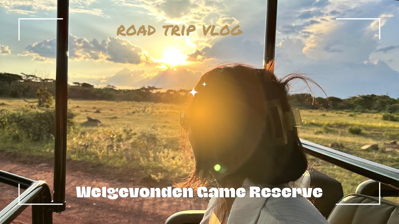 SAFARI VLOG: Welgevonden Game Reserve South Africa