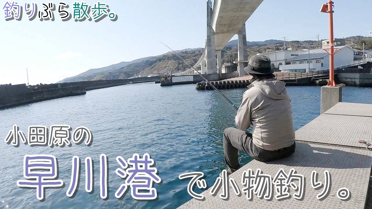 【小物釣り】神奈川県小田原 早川港で小物釣り。【海釣り】
