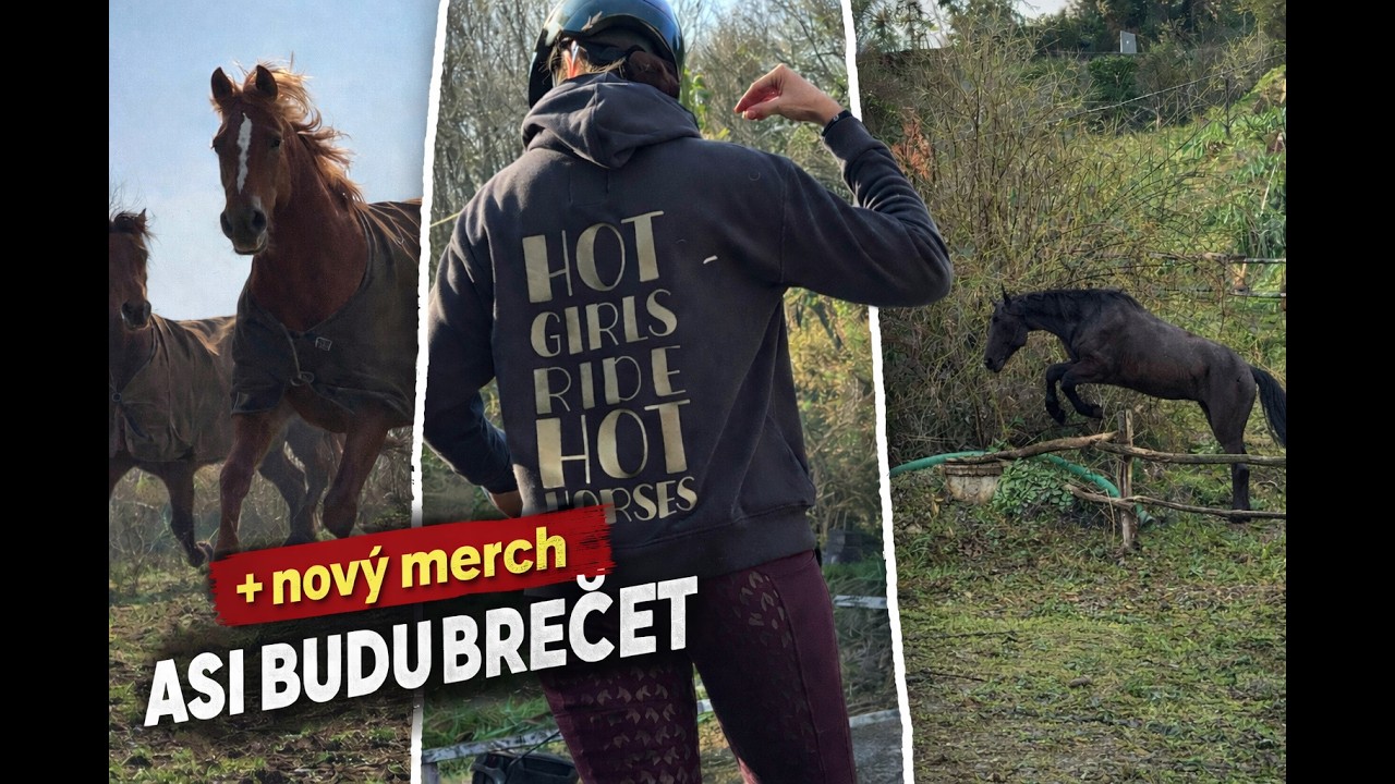 ASI BUDU BREČET