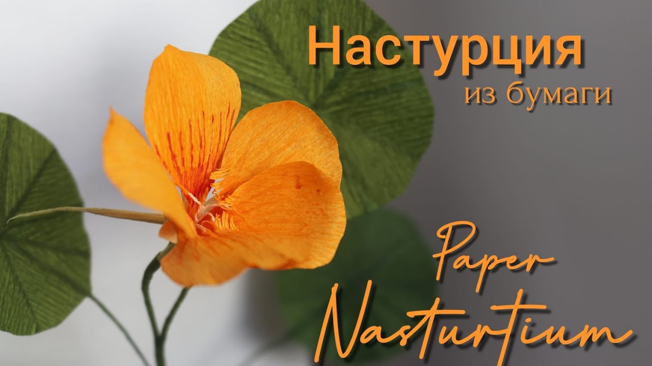 DIY/ КАК СДЕЛАТЬ НАСТУРЦИЮ ИЗ БУМАГИ?/ NASTURTIUM OF PAPER