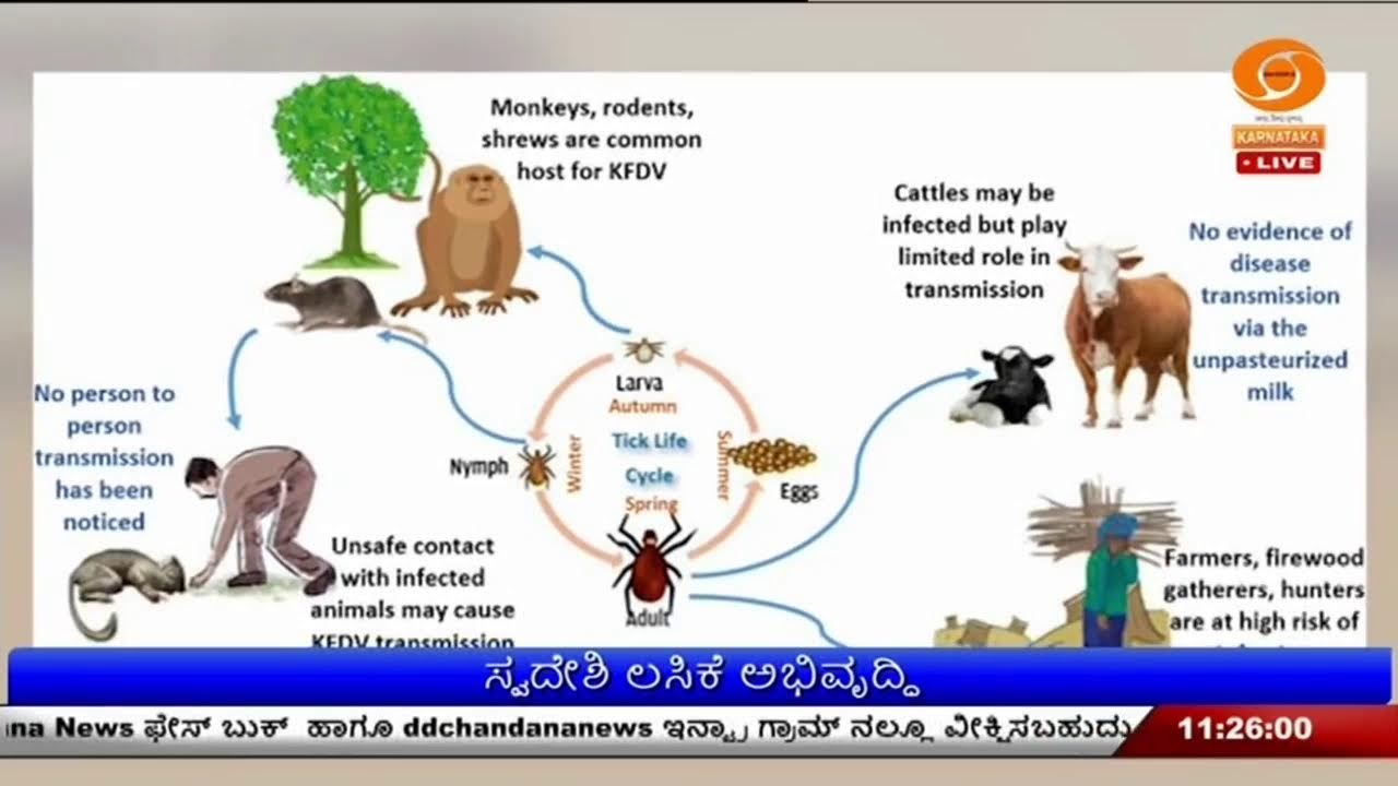 LIVE : DD CHANDANA NEWS - 08.02.2026 | 11.00 AM