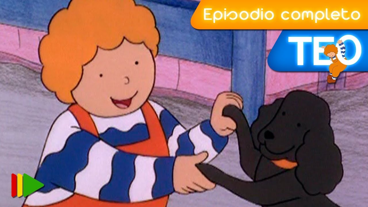 TEO (Español) - 06 - Teo y su perro | Episodio Completo |
