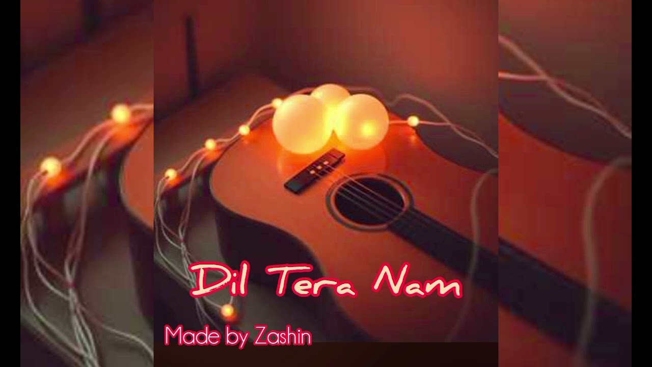 Dil tera Nam New hindi song made by Zashin