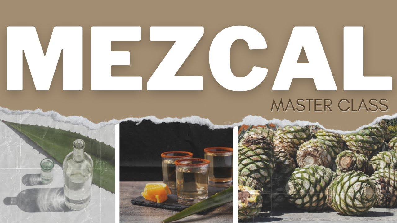 ¿Qué es Mezcal? Las diferencias entre Tequila y Mezcal !¡! Master Class 💚 #mezcal