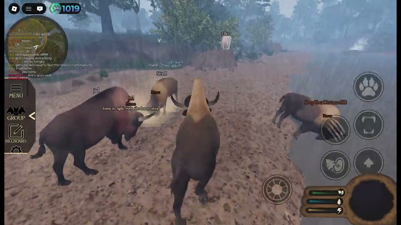 a Bisons life