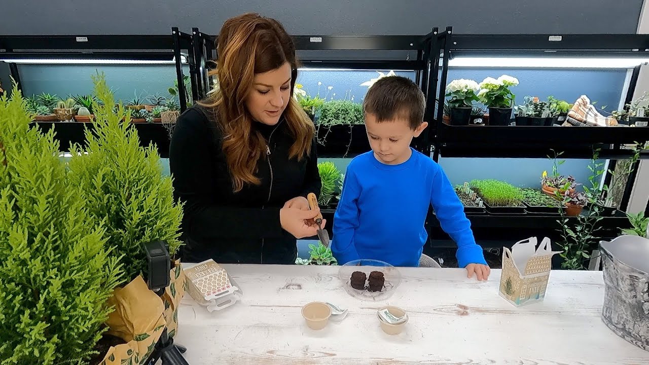 Planting Spruce & Peppermint Seeds + Cypress & Amaryllis Repotting + Flower Arrangement! 😁🌿🙌