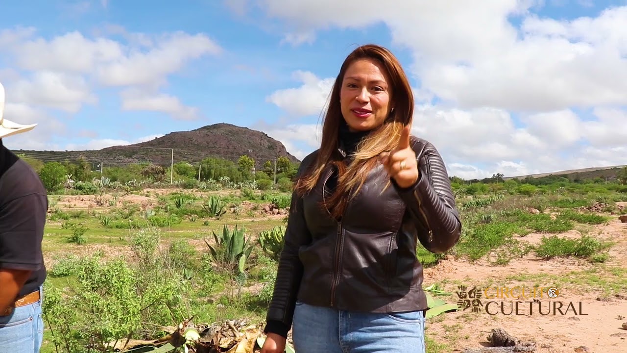 Elaboración de Mezcal, desde la Hacienda de Pozo Hondo en San Luis de la Paz