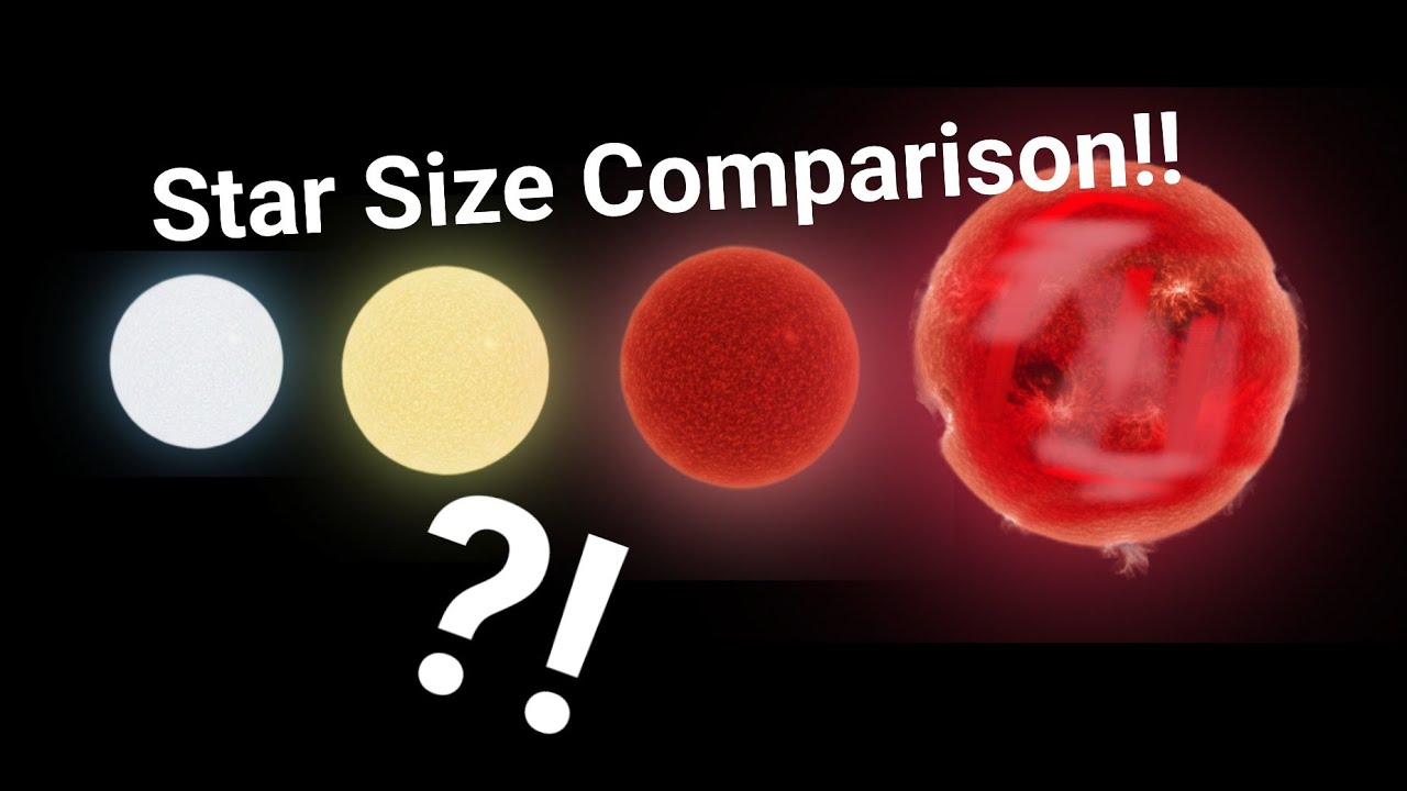 ✨ Star Size Comparison 2026!! (My Version) ✨ (No copying allowed!!)