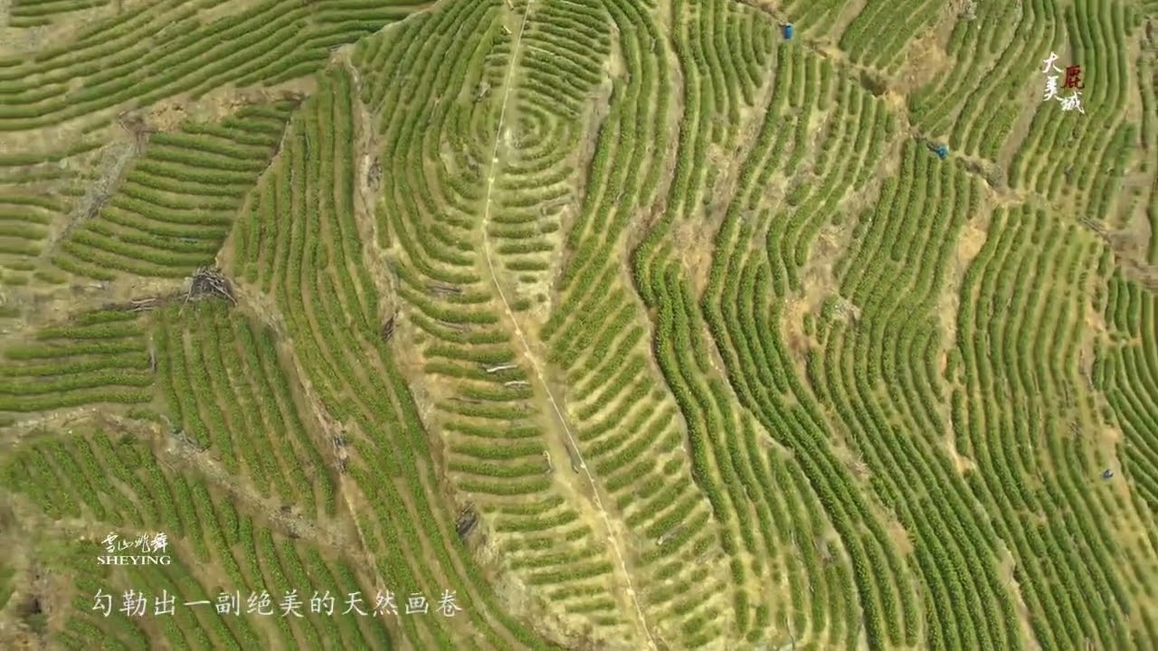 温州鹿城山福美景&mdash;&mdash;大地指纹