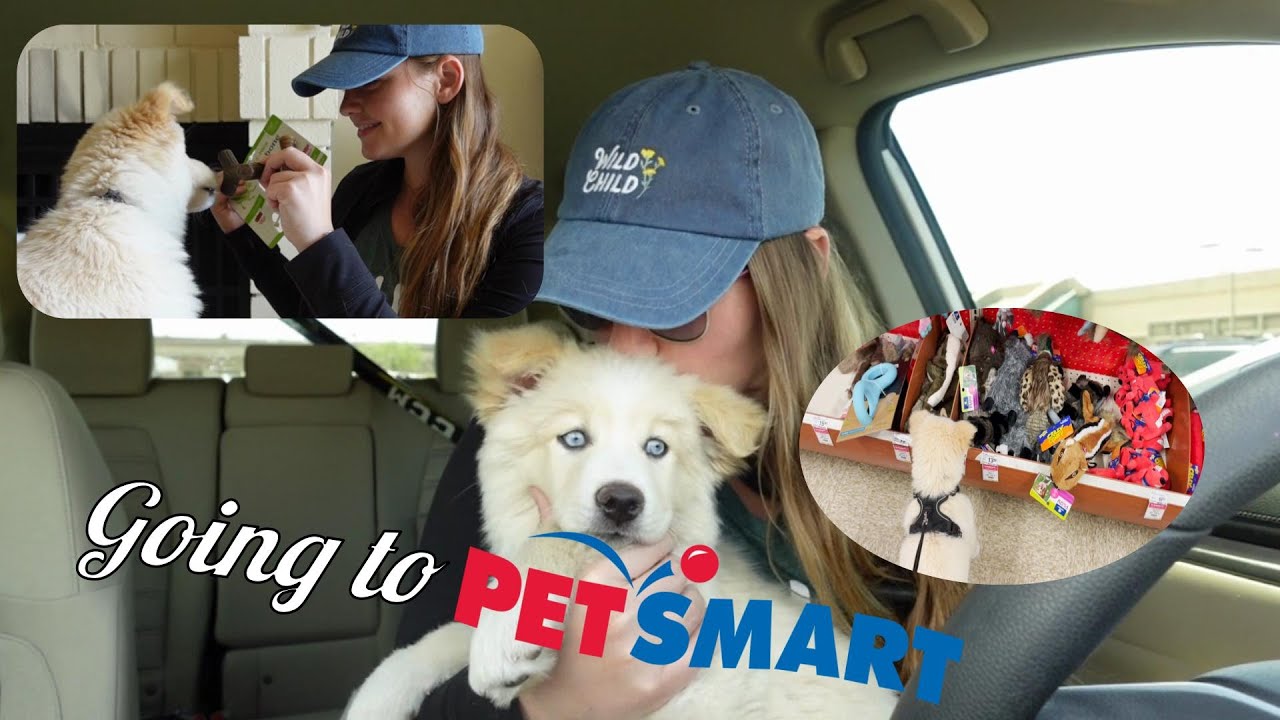 Taking Luna🌙 (My Puppy) to PetSmart!🛍️🐶🐾🥰