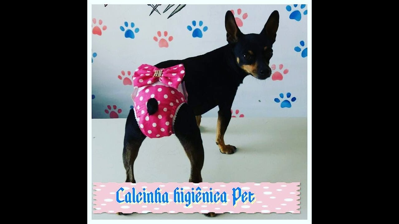 Calcinha higiênica com suporte do absorvente 🐩