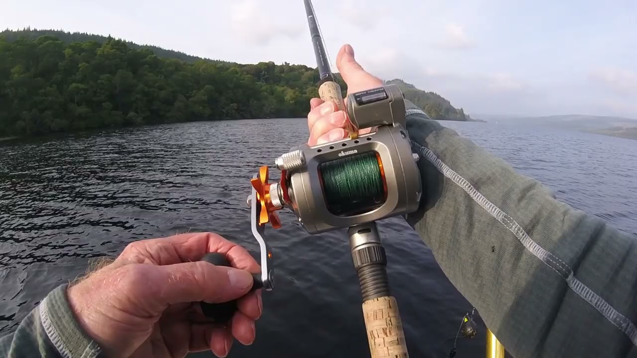 Three Loch Awe Ferox Trout.