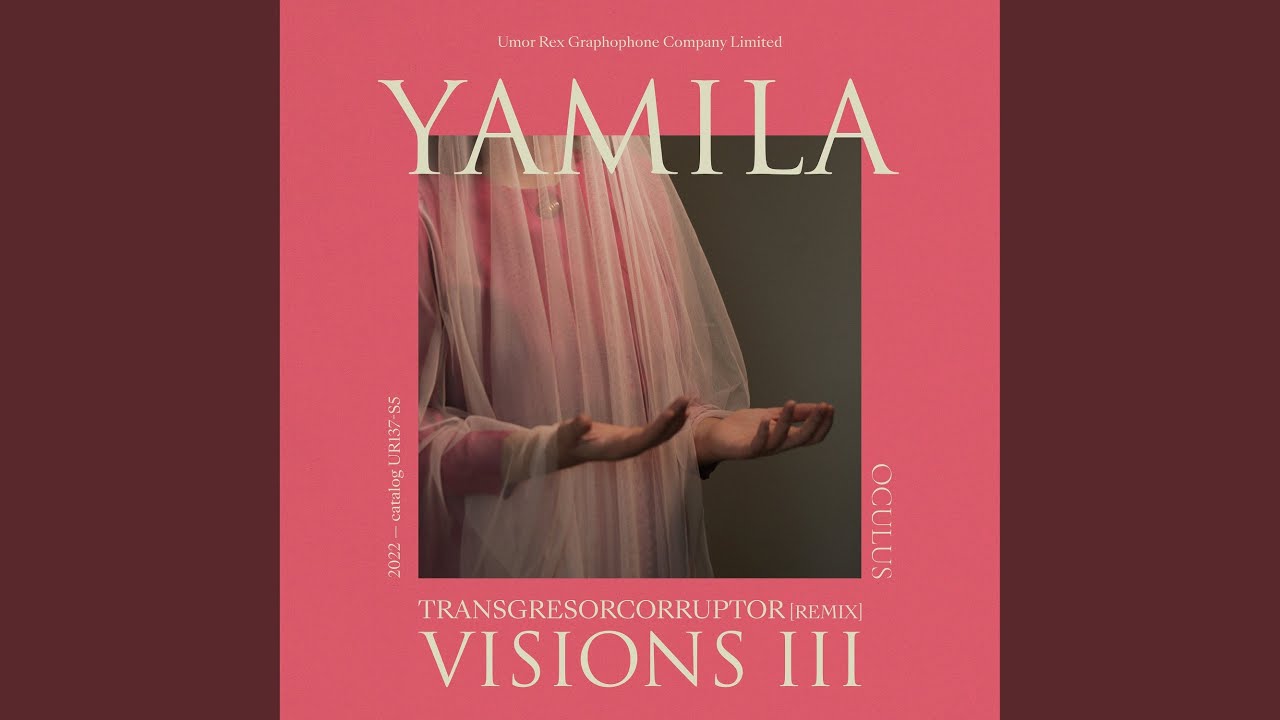 Visions III (Transgresorcorruptor Remix)