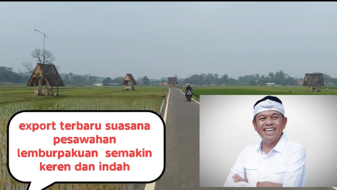 Export suana terbaru di pesawahan lembur pakuan  keren sekali 
