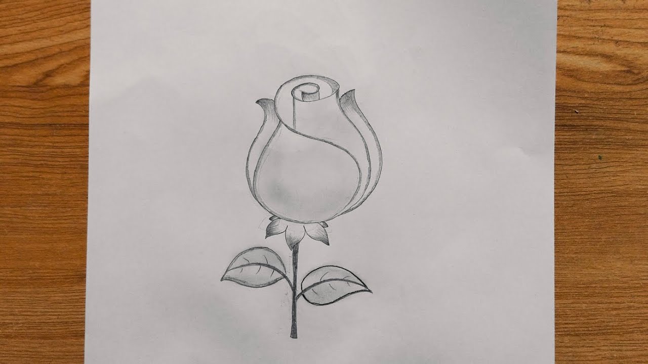 Easily  step by step Rose drawing tutorial | How to draw rose 