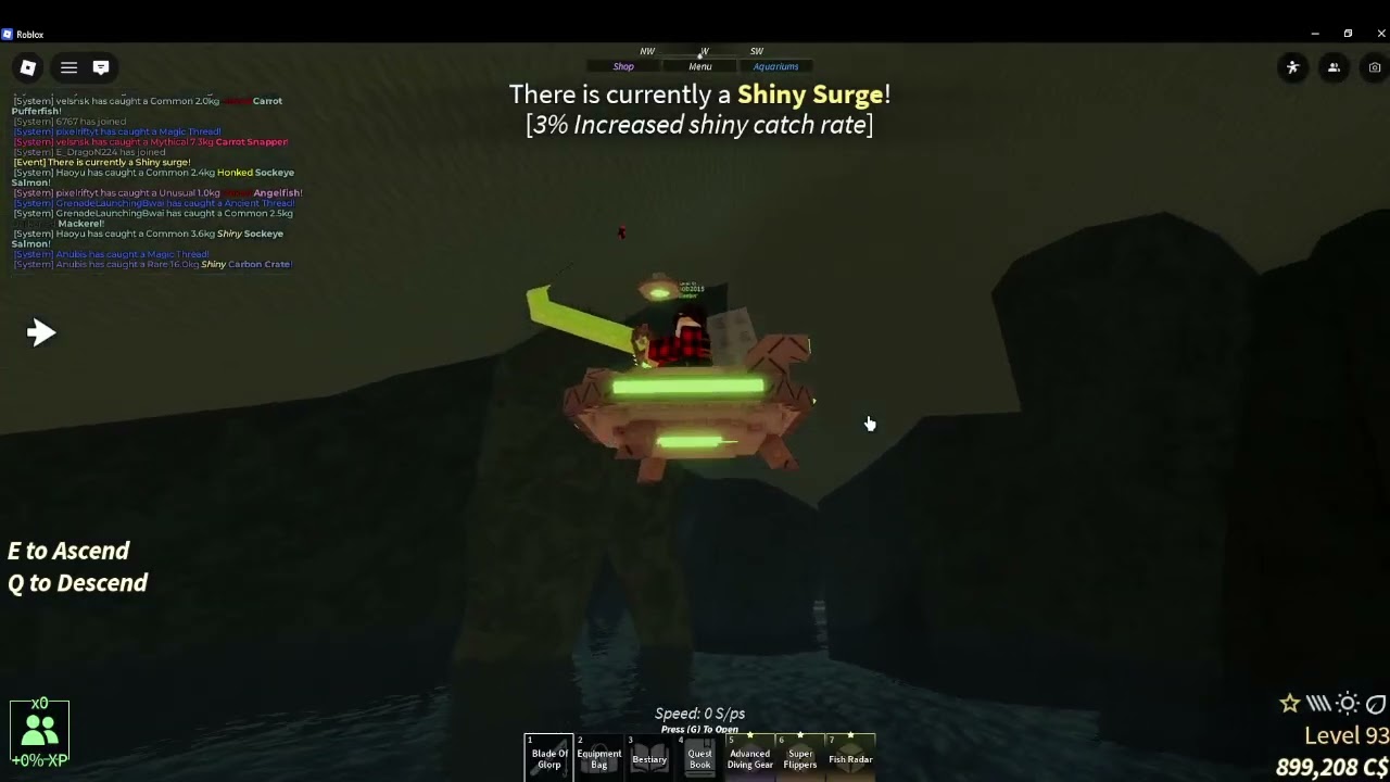 the glitch zone