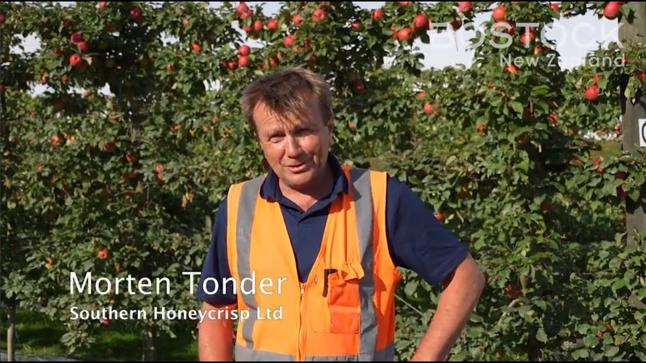 Bostock New Zealand's Organic Honeycrisp apples grown in Timaru