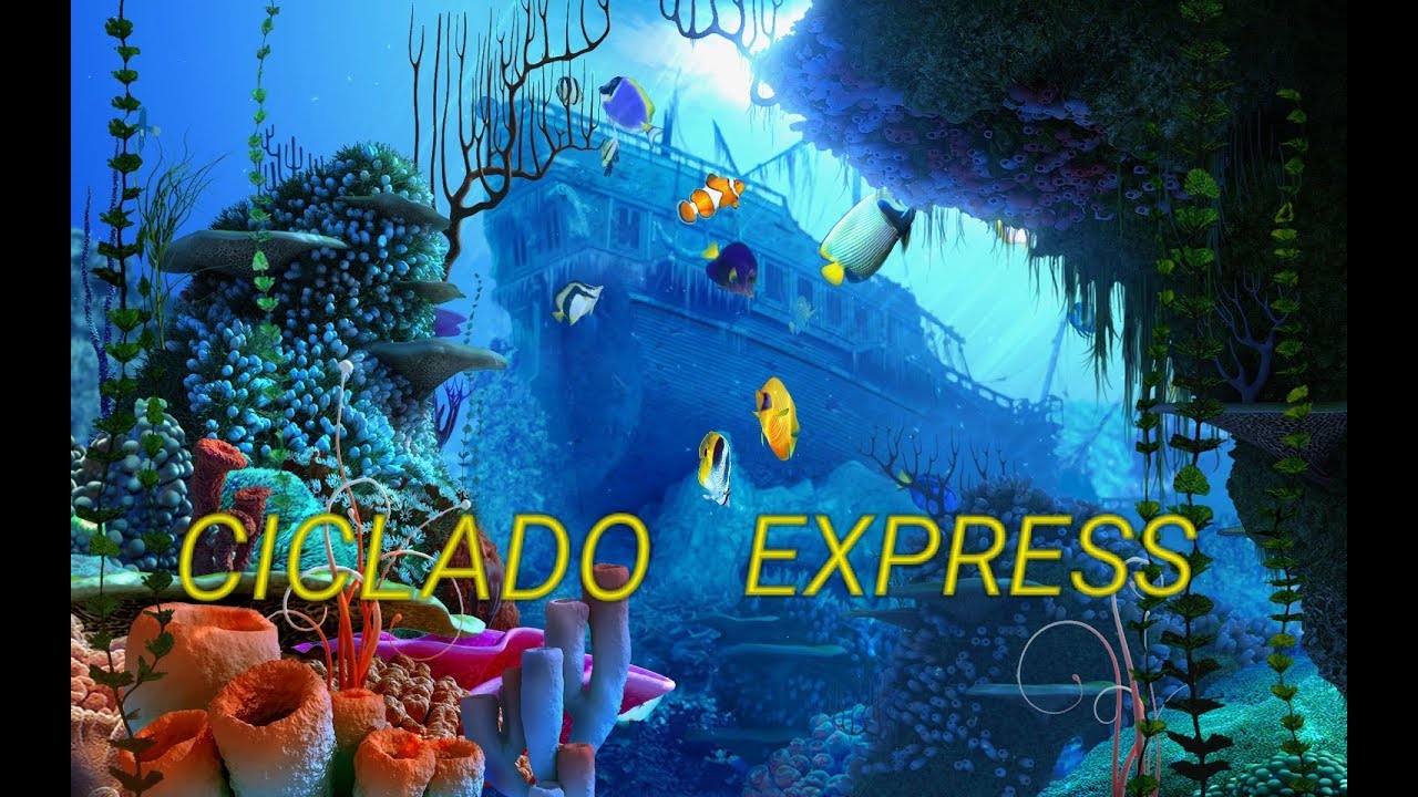 EL CICLADO EXPRESS EN ACUARIOS SI EXISTE