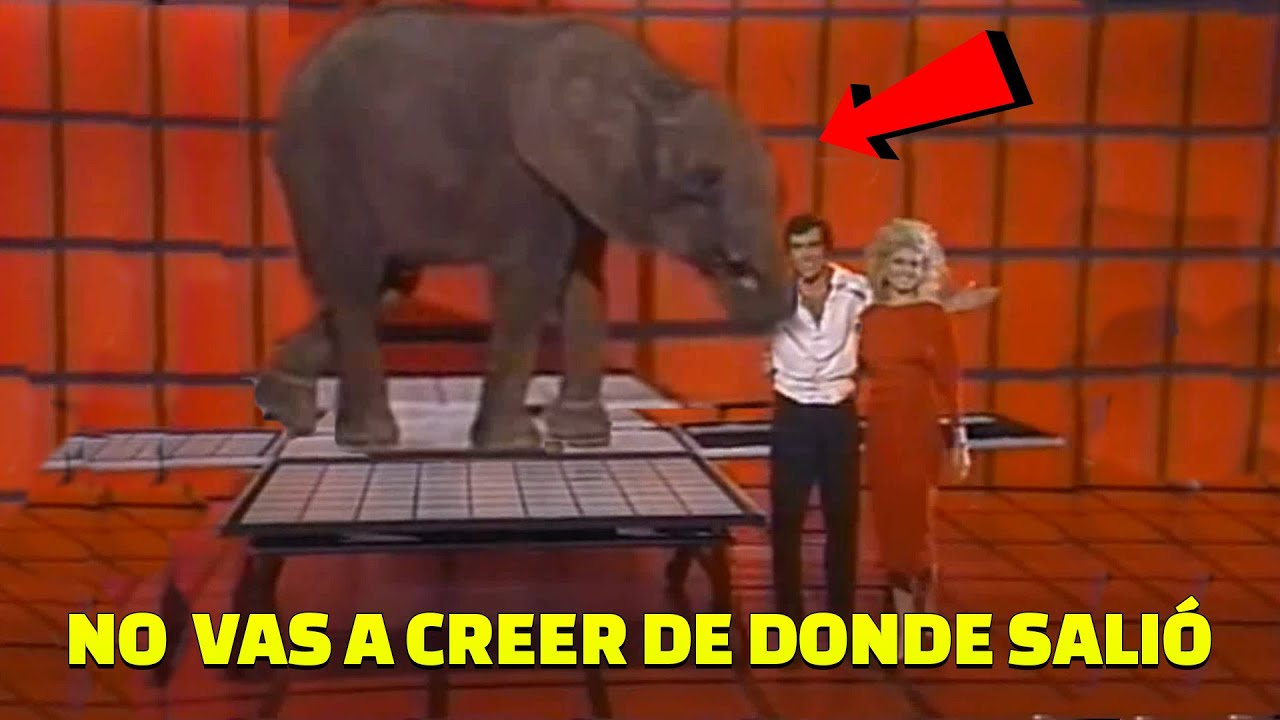 INCREIBLE DAVID COPPERFIELD aparece un ELEFANTE de la NADA  - Truco Revelado