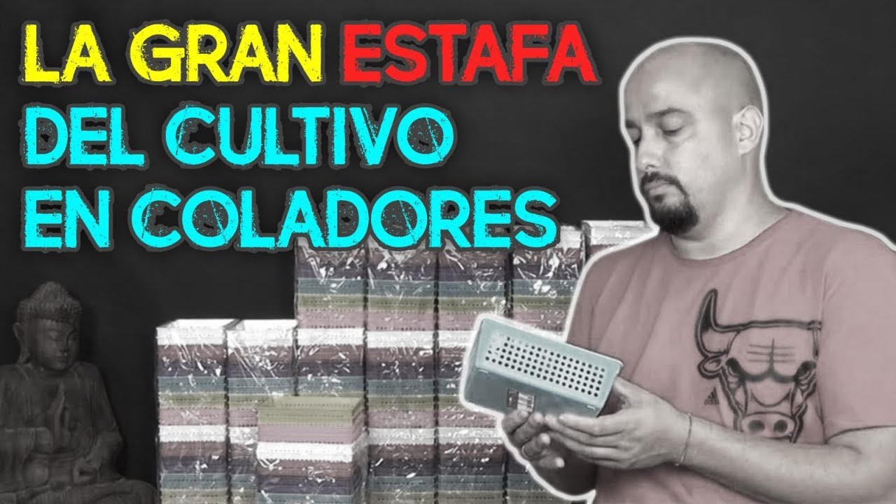 Bonsai y cultivo en coladores realmente funciona?