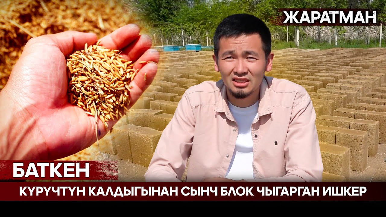 Баткен: Күрүчтүн калдыгынан сынч блок чыгарган ишкер | Жаратман
