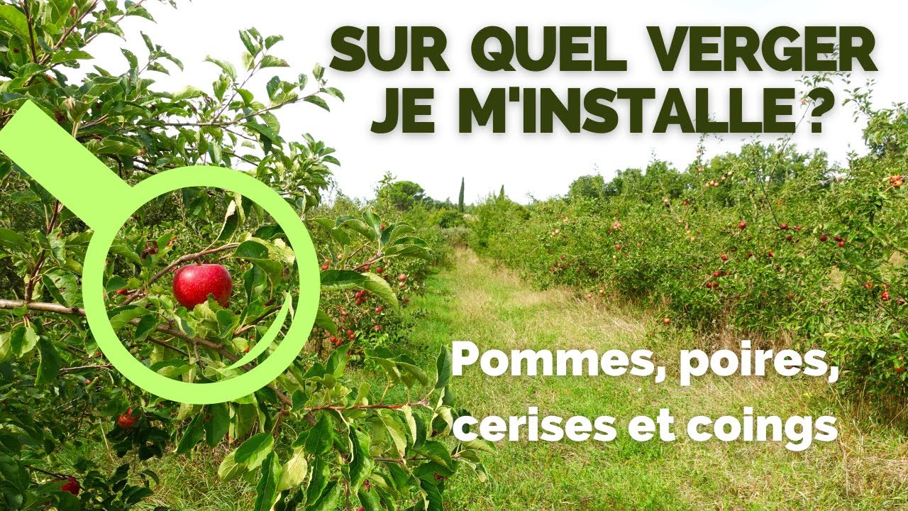 Saison 1 Ep 3 - Visite des parcelles du verger
