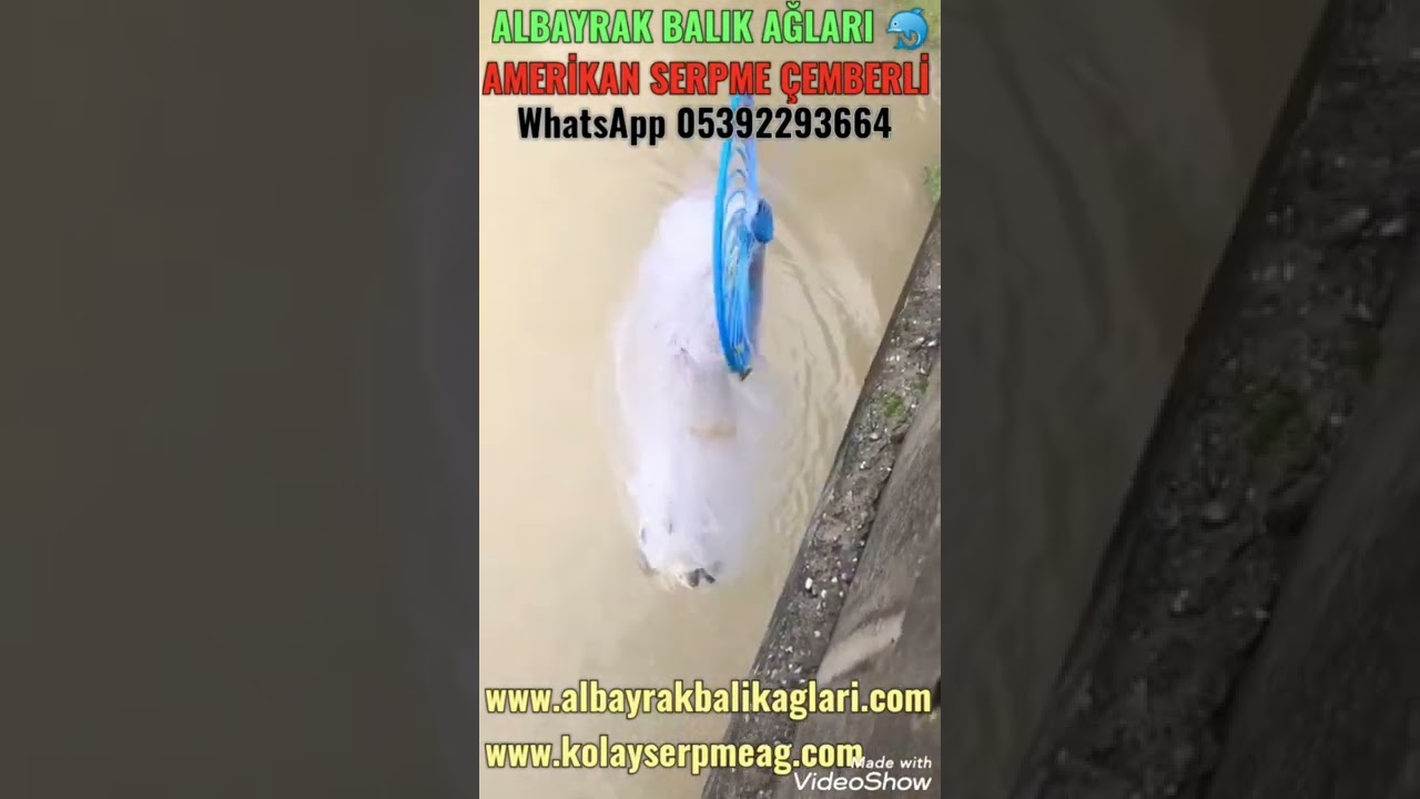 Çemberli kolay Serpme ağ