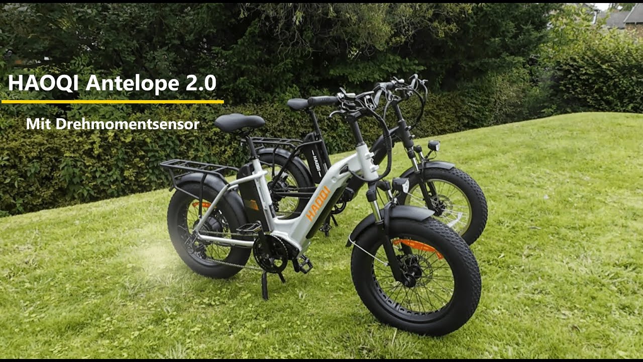 HAOQI Antelope 2.0 Neu mit Drehmomentsensor und Vorgängermodell 20-Zoll x 4-Zoll