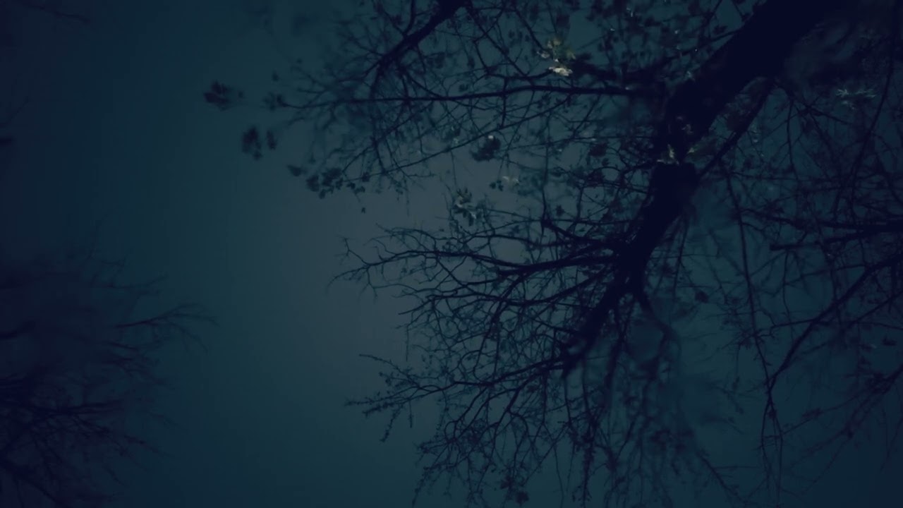 Blue Rain