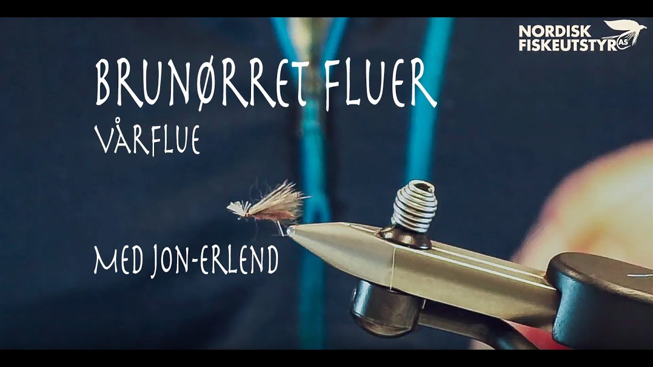 Vårflue