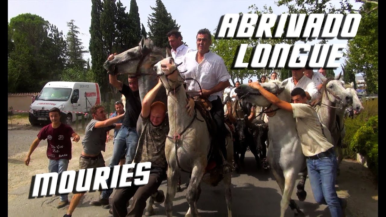 MOURIES Abrivado Longue 19-08-2017 🐴