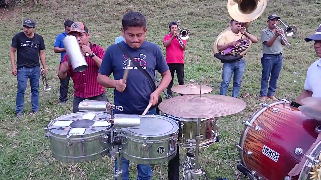 El toro mambo con la Banda Girasoles